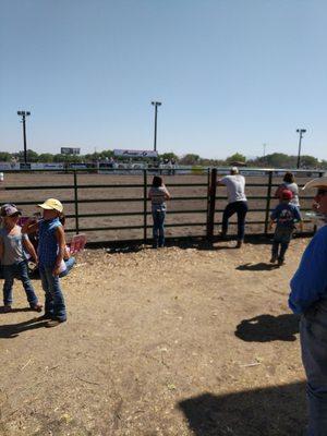 Creston Classic Rodeo