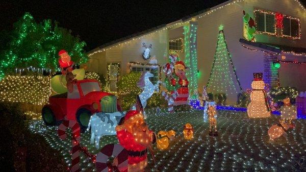 Beautiful field of lights!