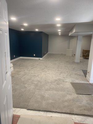 Basement Remodel