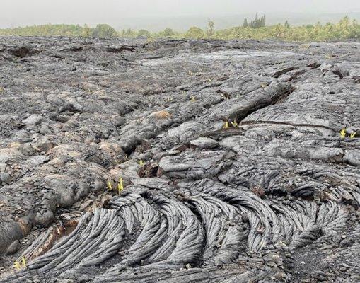 Pahoehoe lava (ropey lava)