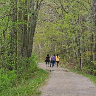 Trail near the property