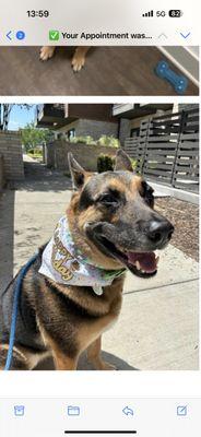 Her birthday walk while the parents were at work!