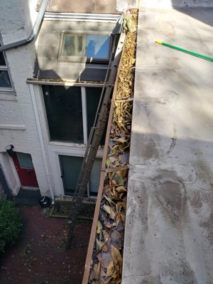 GUTTER CLEANING (before)