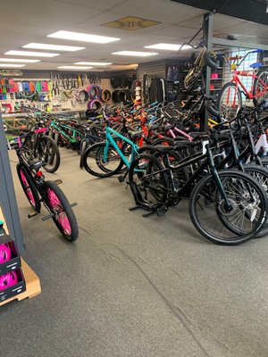 Long Island Bike Shop