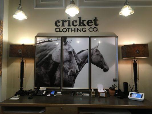 Cricket Clothing