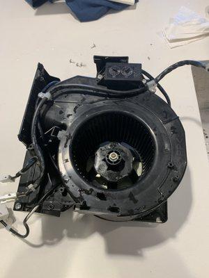 QA Handyman Panasonic Bathroom Exhaust Fan Disassemble and Clean