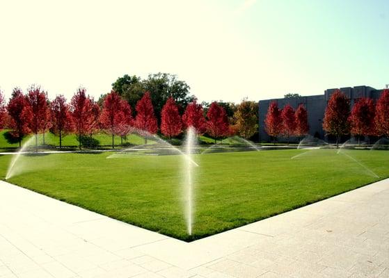 Lakewood Cemetery in the fall.