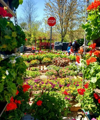 Elmsford Home Depot garden center  5/1/2021