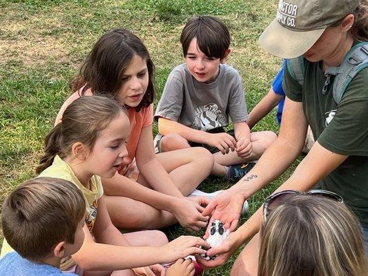 Hands-on learning with baby bunnies was so sweet! Farmer Amanda is great with kids.