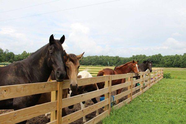 Midway Fence Co