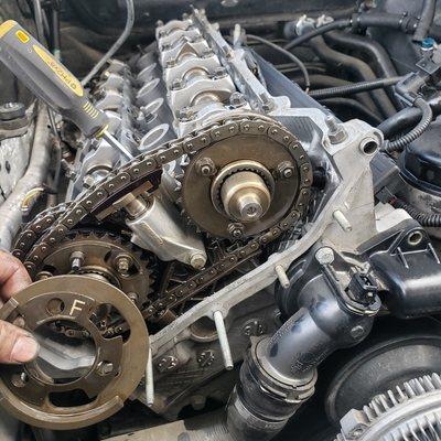 BMW timing chain