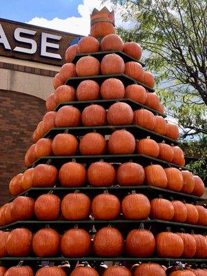 Circleville Pumpkin Show