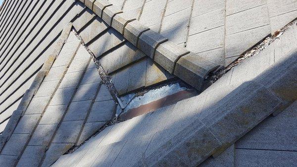 Are you looking for a professional roofing company to repair your existing roof? Protect Roofing Co will be the company that ...