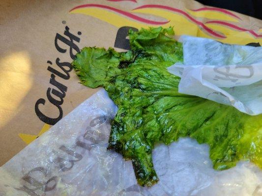 Nasty lettuce Dried out burger