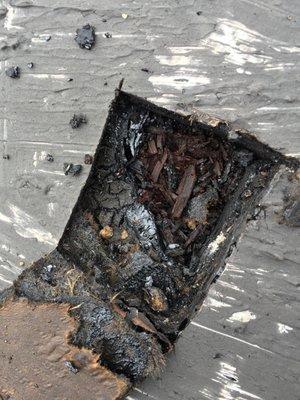 Dry Rot under a Flat TPO Roof