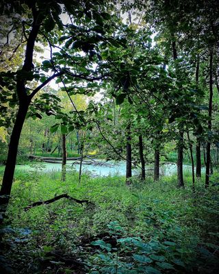 A spot along the trail.