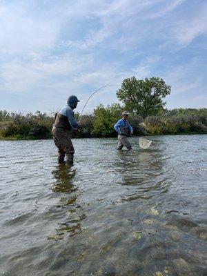 Guided fly fishing