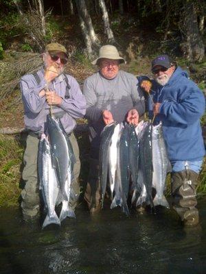 Sockeye Madness Indeed