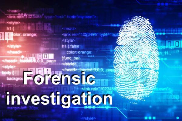 Financial Forensics is the most valuable partner you can have in a financial crime case.