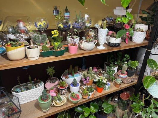 We have all sorts of miniature succulent trinkets and little gifts