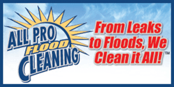 All Pro Carpet Care Professionals