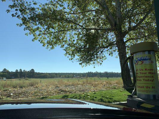 My view while my husband dried the car