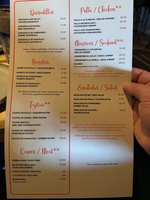 Menu back