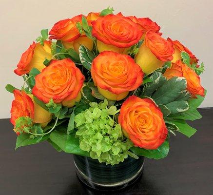 A vibrant modern one dozen of circus roses.