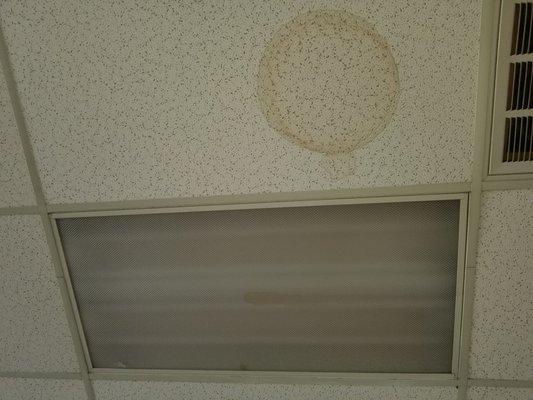 Water leaking from roof to light fixtures