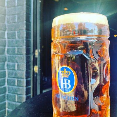 Hofbräu Oktoberfest - on draft for a limited time!