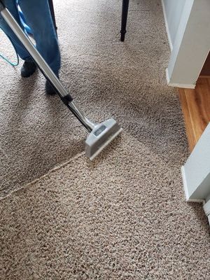 Chris' Mean Green Carpet Cleaning