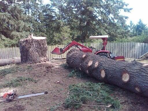 big fir we did next to a home