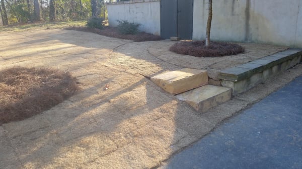 Installed rock steps and a pea gravel walkway.  Sodded with emerald zoysia.