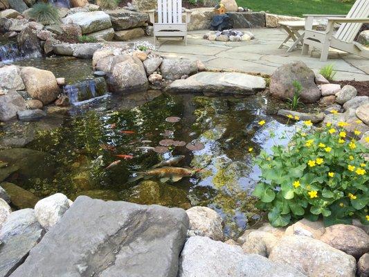 Koi pond BEFORE extension