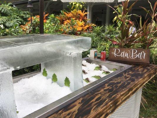 Large format ice bar for weddings and events