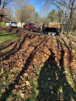 Fall Leaf Removal Services