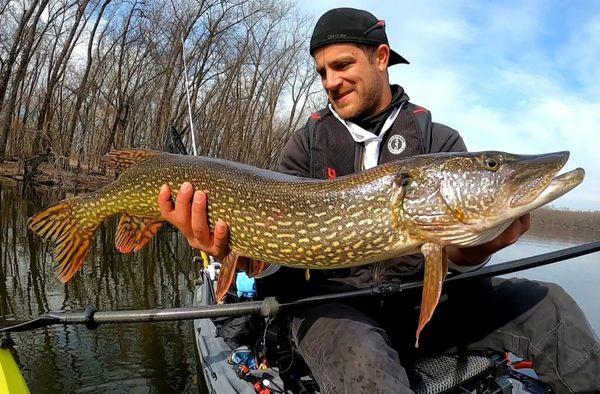 Happy CT Fish Nerd client with a big northern pike from the Connecticut River.