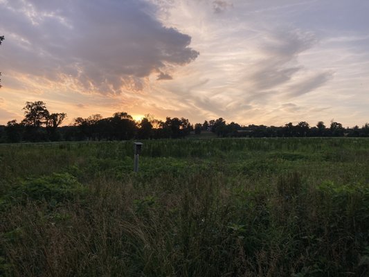 Natural Lands' Bryn Coed Preserve