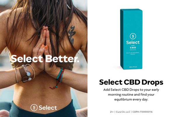 CBD Oil