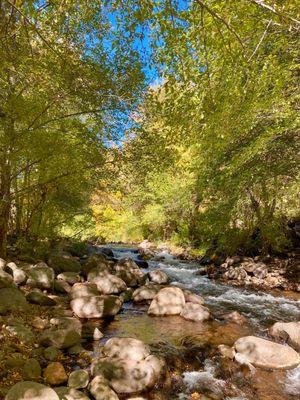 Creek below picnic ground in October