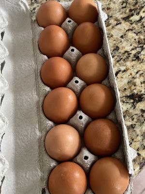 Eggs