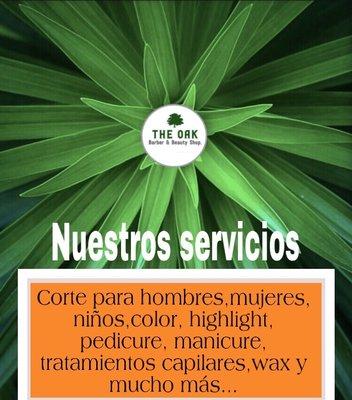 Nuestros servicios