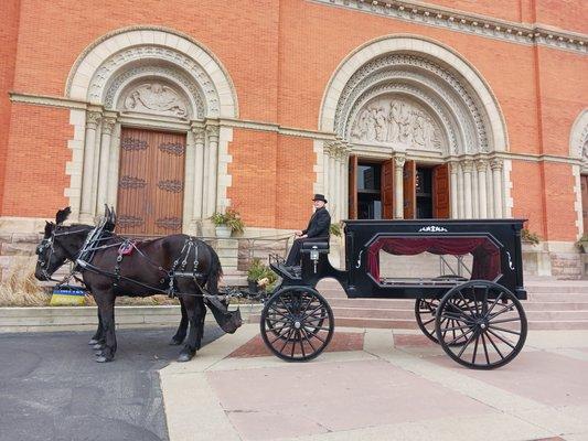 Horse drawn funeral hearse