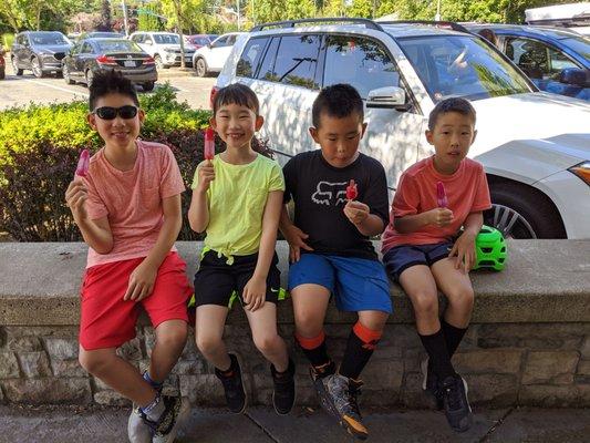 Popsicles for my kids on a hot day!