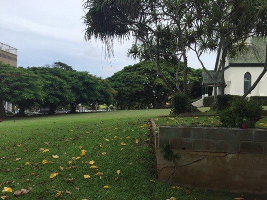 Lots of open space outside. Beautiful old trees.