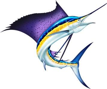 sailfish clipart illustration