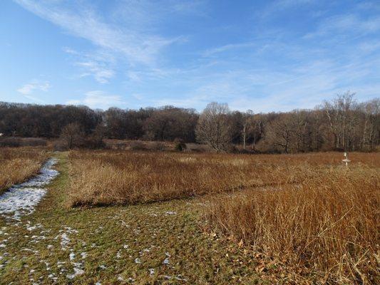 Low meadows with mowed paths