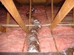 Ask about our Attic Clean up / Rodent Proofing services