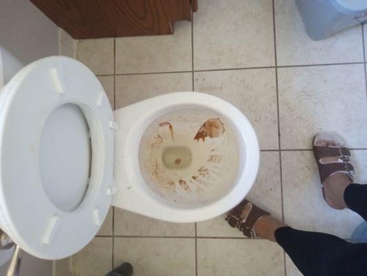 This is the toilet before I cleaned it