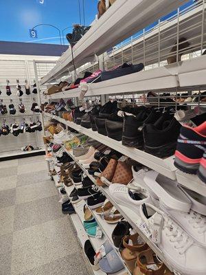 Shoe section